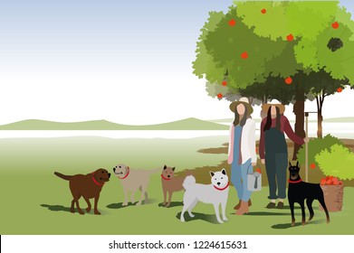 vector girl and dogs walking in the farm.farm concept