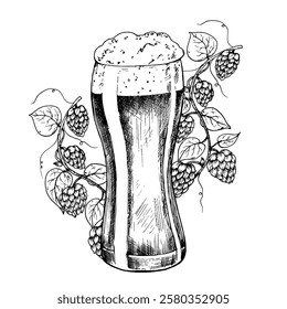 Vector Glass of beer with cap of foam and common hop. Graphic ink ale illustration, organic Humulus lupulus branch with leaves and cones isolated on background. Hand drawn line sketch. For designers