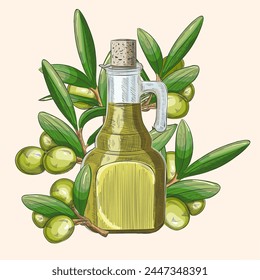 Botella de cristal de Vector con aceite de oliva y aceitunas con hojas. Ilustración en estilo de boceto retro