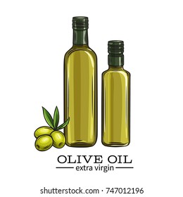 Vector glass bottle olive oil and olives with leaves. Illustration in retro sketch style.