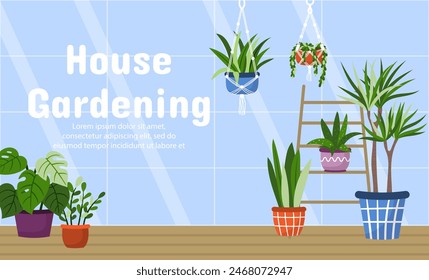 Vector glass greenhouse interior inside with house plants in pots. House gardening inner view illustration for landing page, banner.