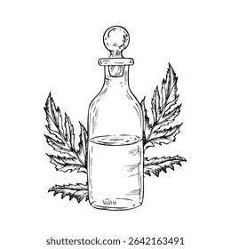 Vector Glass potion bottle with cork and foliage. Hand painted linear wizard halloween illustration. Graphic magic monochrome sketch isolated on background. For designers, prints, logo, icon, menu