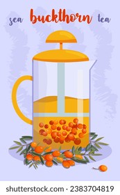 Vector A glass teapot of tea and a sprig of sea buckthorn. sea buckthorn tea. berry or fruit tea. healing tea.
