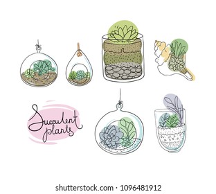 Vector glass terrariums with succulents set. Hand drawing isolated objects on white background. 