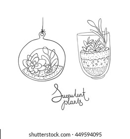 Vector glass terrariums with succulents set. Hand drawing isolated objects on white background. 