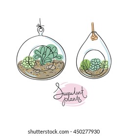 Vector glass terrariums with succulents set. Hand drawing isolated objects on white background. 