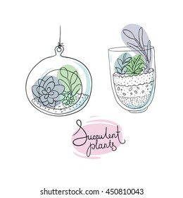 Vector glass terrariums with succulents set. Hand drawing isolated objects on white background. 