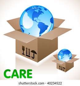 Vector globe in the box.