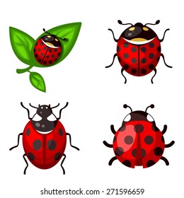 Vector glossy ladybug icons