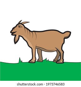 Vector Of Goat  Brown Color, Green Grass, and white Background.  Perfect For Color Learning,  background, presentation,  Knowledge, Education, advertisement product and mock up.