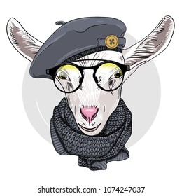 Vector goat with glasses, grey beret and knitted scarf. Hand drawn illustration of dressed goat.