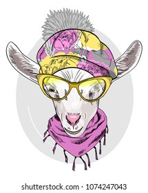 Vector goat with glasses, hat and scarf. Hand drawn illustration of dressed goat.
