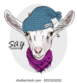 Vector goat with knitted hat, earring and scarf. Hand drawn illustration of dressed goat. 