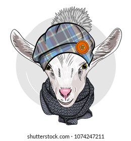 Vector goat with knitted hat and grey knitted scarf. Hand drawn illustration of dressed goat.