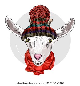Vector goat with knitted hat and red scarf. Hand drawn illustration of dressed goat.