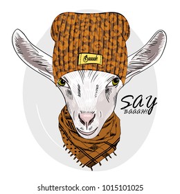 Vector goat with knitted hat and scarf. Hand drawn illustration of dressed goat. 