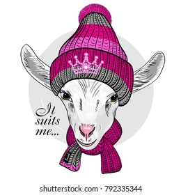 Vector goat with knitted hat and scarf. Hand drawn illustration of dressed goat. 