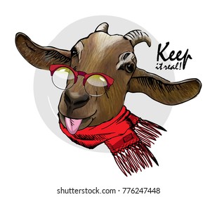 Vector goat with red glasses and scarf. Hand drawn illustration of dressed goat. Keep it real.