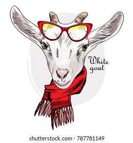 Vector goat with red glasses and red scarf. Hand drawn illustration of dressed goat. 