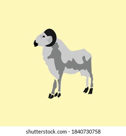 vector of a goat, sheep