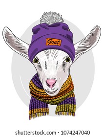 Vector goat with violet knitted hat and scarf. Hand drawn illustration of dressed goat.