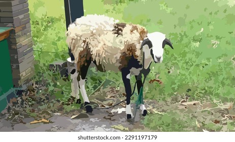 vector, goats or sheep that are released to find grass for the sheep to eat