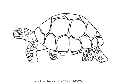 Vector going outline turtle isolated on white background. Hand drawn line doodle illustration ocean or underwater animal for coloring page
