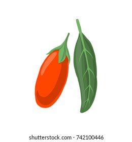 vector goji berry and leaf isolated at white background