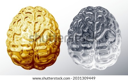 Vector gold and chrome brains in top view