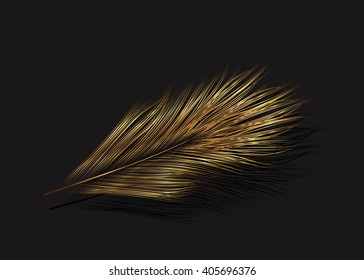 Vector Gold Feather.
