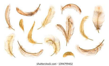 Vector gold feathers collection, set of different falling fluffy twirled feathers, isolated on white, transparent background. Realistic style, colorful vector 3d illustration.