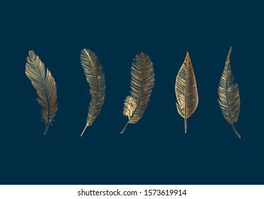 Vector Gold Feathers Collection, Set of Different Falling Fluffy Twirled Feathers