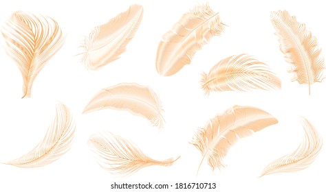 Vector gold feathers collection, set of different falling fluffy twirled feathers on a white background.