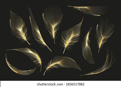 Vector gold feathers collection, set of different falling fluffy twirled feathers on a black background.