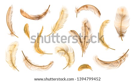 Vector gold feathers collection, set of different falling fluffy twirled feathers, isolated on white, transparent background. Realistic style, colorful vector 3d illustration.