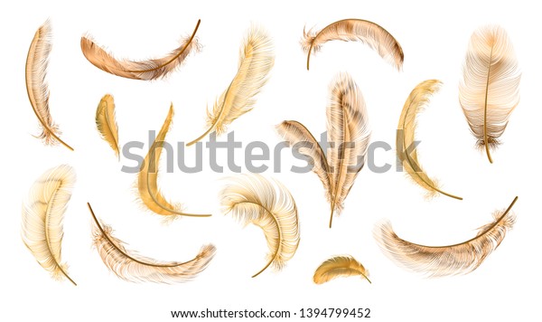 白い背景にフワフワの羽を落とすさまざまな羽のセット ベクター画像の金色の羽 コレクション リアルなスタイル カラフルなベクター画像3dイラスト のベクター画像素材 ロイヤリティフリー