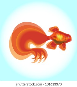 Vector gold fish