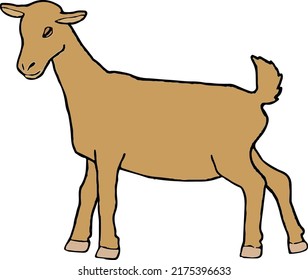 vector de una cabra de oro, con cuerpo entero cerca de un lado. plantilla de concepto de animal salvaje.