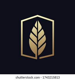 Vector gold leaf logo with luxurious and modern hexagon emblems