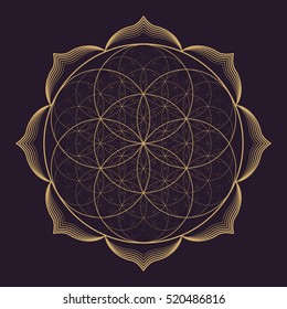 vector gold monochrome design abstract mandala sacred geometry illustration Seed Flower of life lotus isolated dark brown background  