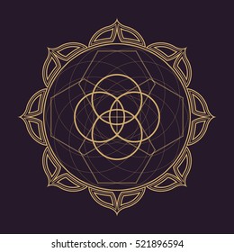 vector gold monochrome design abstract mandala sacred geometry illustration circles lotus isolated dark brown background  
