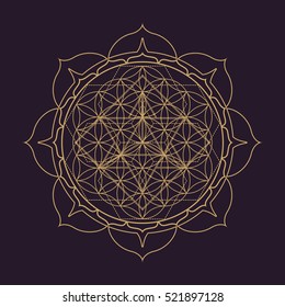 vector gold monochrome design abstract mandala sacred geometry illustration Flower of life Merkaba lotus isolated dark brown background  
