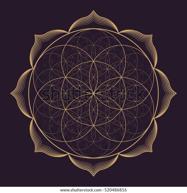 vector gold monochrome design abstract\
mandala sacred geometry illustration Seed Flower of life lotus\
isolated dark brown background \
\
