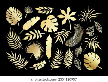 Juego de iconos de la hoja de oro del vector. Plantas tropicales doradas dejan una colección exótica de silueta. Monstera, palmeras de abanico, plátano, eucalipto, hojas de coco aisladas en un fondo negro.