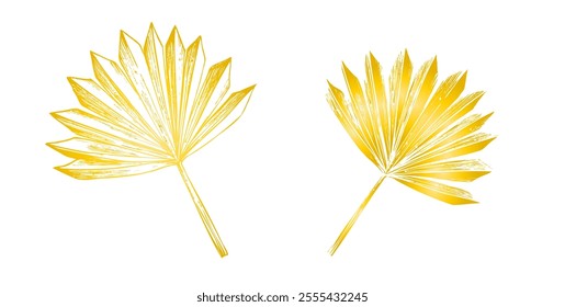 Vector gold pampas grass. Graphic illustration isolated on background. Botanical and wedding and. Muslim hand drawn line sketch, holiday Ramadan Kareem or Eid Al Adha 2025. For designers, prints