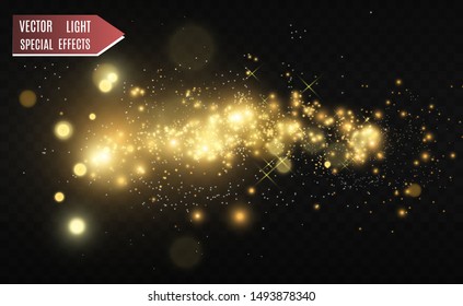 Vector Gold Sparkles, magic, bright light effect on a transparent background. Gold dust.