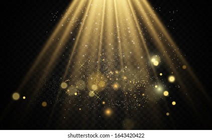 Vector Gold Sparkles, magic, bright light effect on a transparent background. Gold dust.