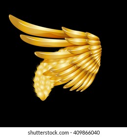 the vector gold wings on black