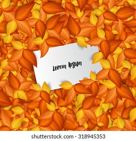 Vector golden autumn leaves background with a paper card