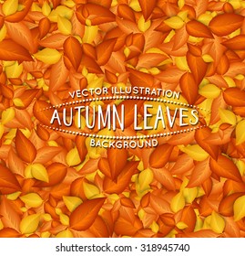 Vector golden autumn leaves background